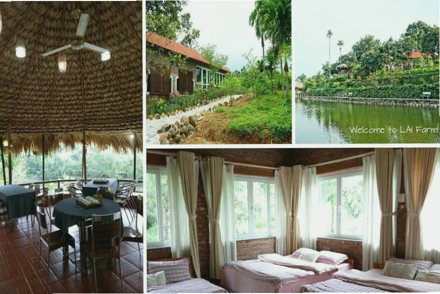Lai Farm Ba Vì là điểm đến nghỉ dưỡng tuyệt vời tại ba Vì
