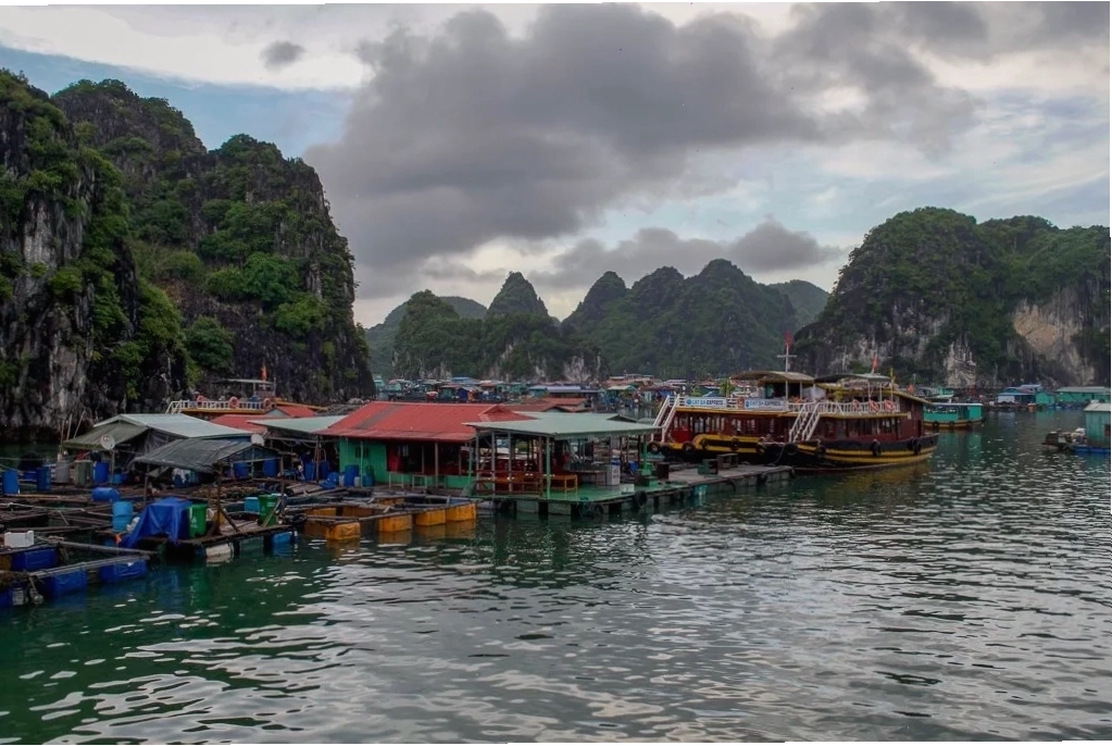 Làng chài nổi trên Vịnh Hạ Long