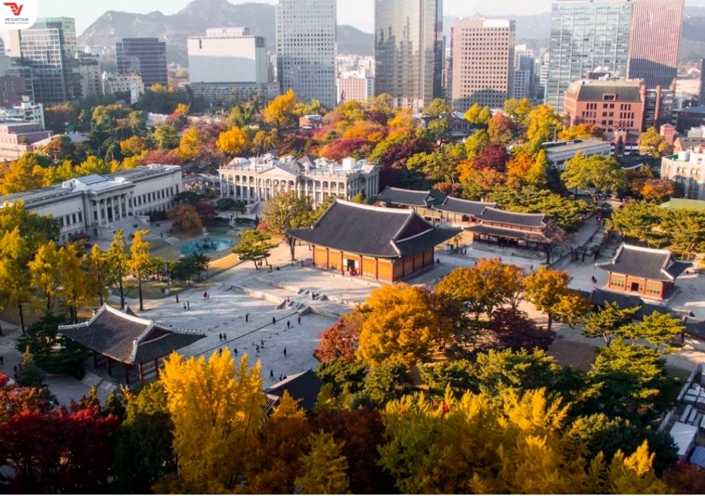Làng Hanok Jeonju mùa lá vàng
