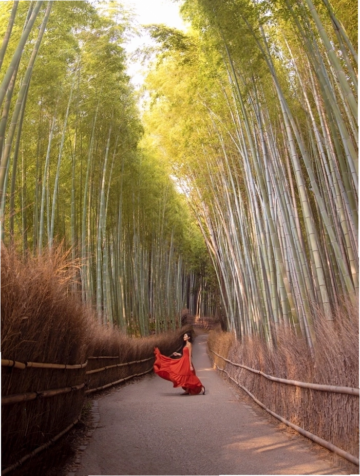 Lắng nghe âm thanh của thiên nhiên trong rừng trúc Arashiyama