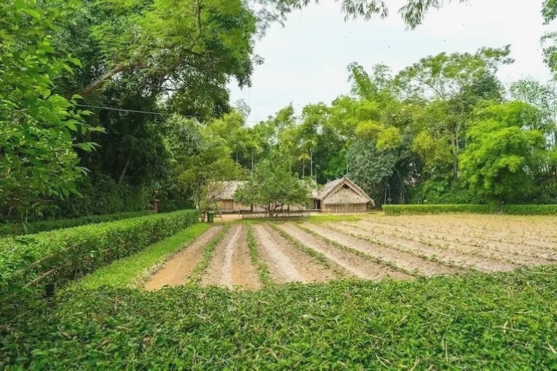 Làng Sen Kim Liên, Nam Đàn - Quê hương Chủ tịch Hồ Chí Minh với không gian thanh bình và cổ kính