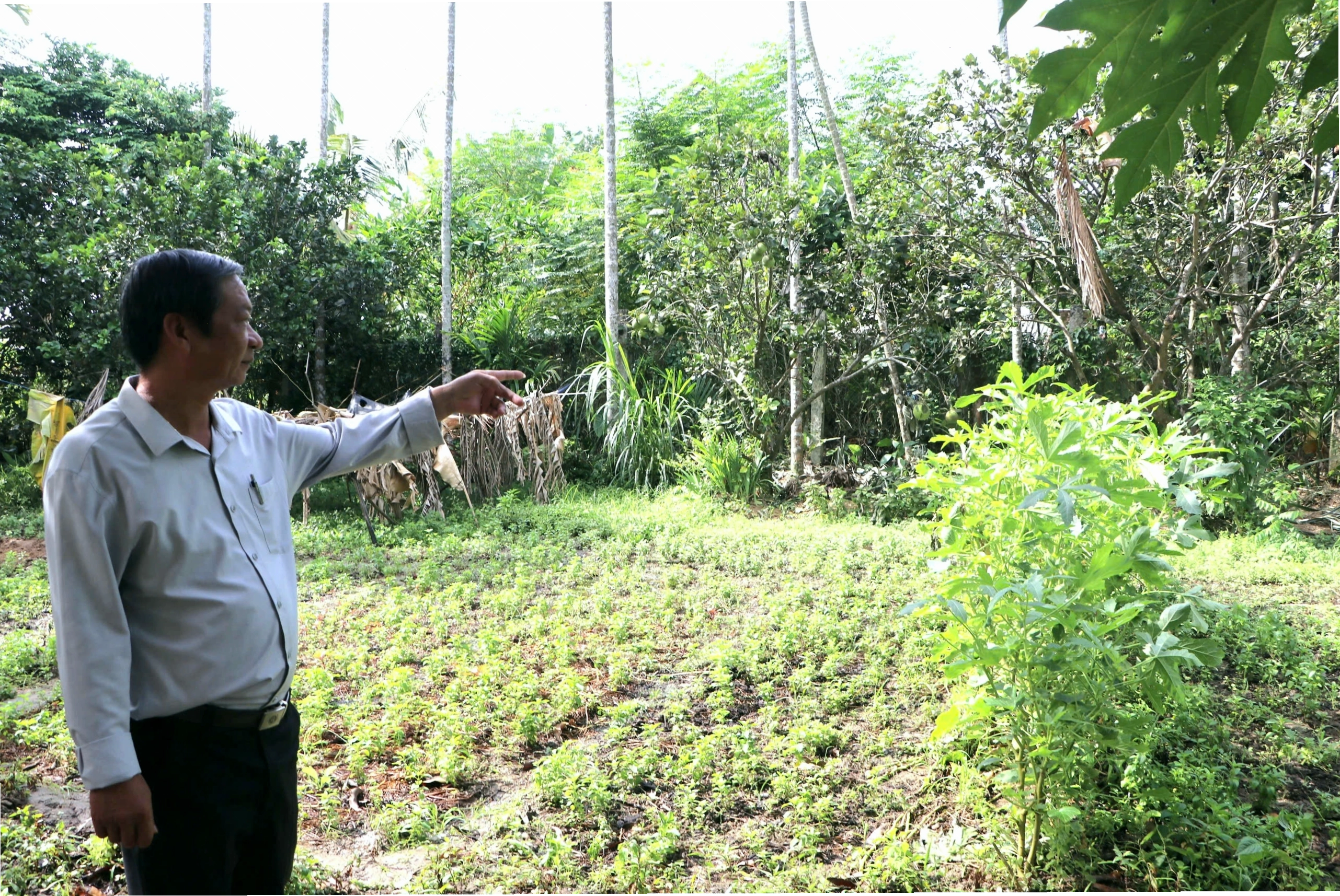 Làng Thi Phổ Nhất, nơi khởi đầu Tổng khởi nghĩa - ảnh 1