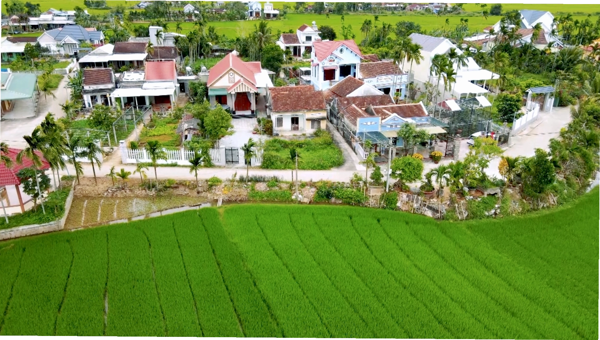 Làng Thi Phổ Nhất, nơi khởi đầu Tổng khởi nghĩa - ảnh 4