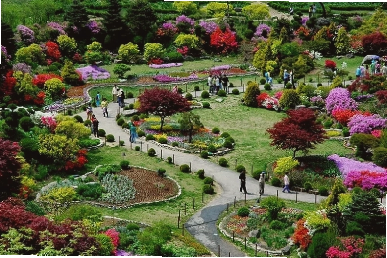 Làng văn hóa Gamcheon với những ngôi nhà đầy màu sắc