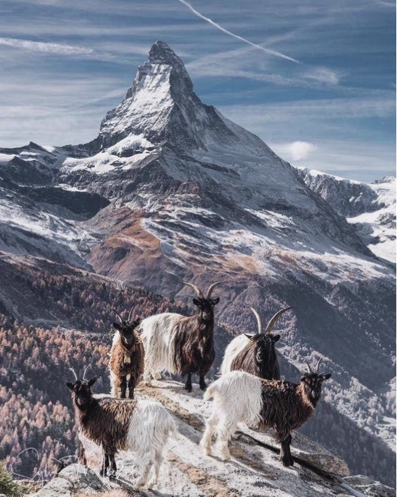 Làng Zermatt thơ mộng dưới chân núi Matterhorn