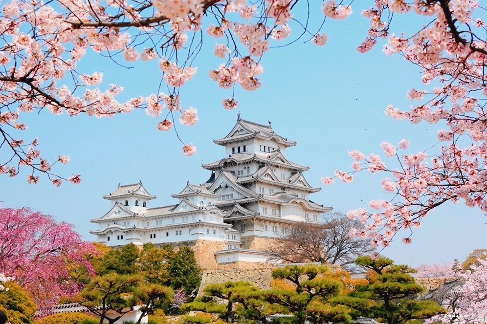 Lâu đài Himeji, Nhật Bản với kiến trúc trắng muốt