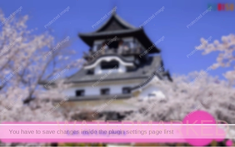 Lâu đài Inuyama uy nghiêm