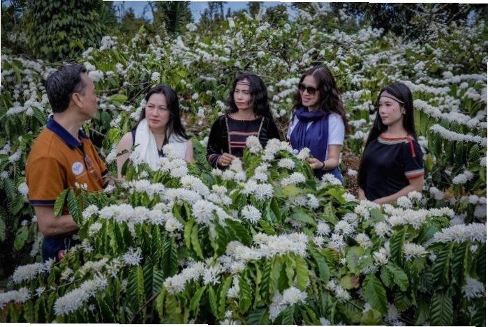Lễ hội cồng chiêng tại Đắk Lắk