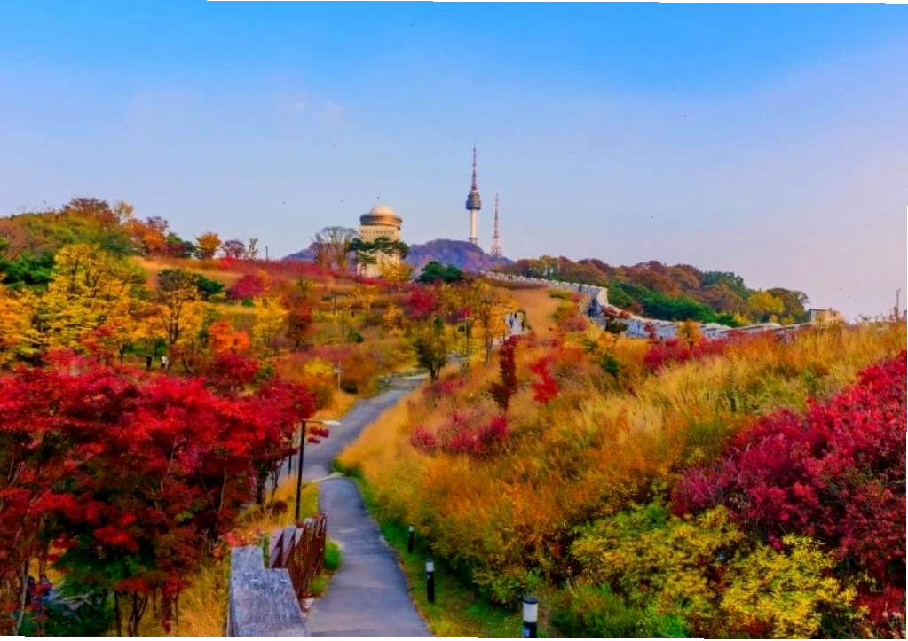 Lễ hội đèn lồng Seoul lung linh về đêm