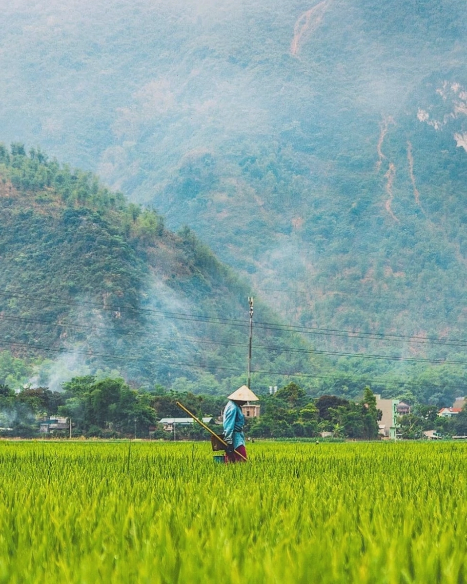 Lễ hội Gầu Tào của người Mông