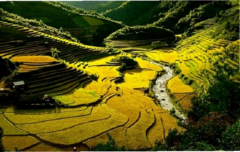 Lễ hội hái hoa Ban tại Mường Lò