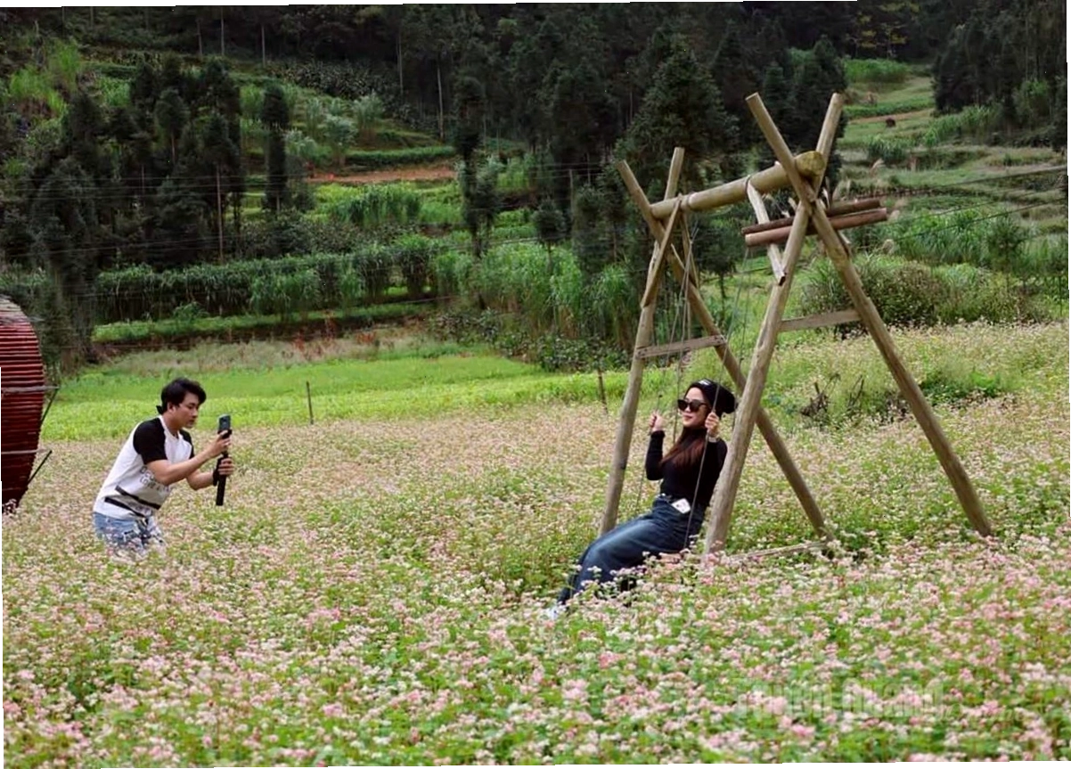 Lễ hội hoa Tam giác mạch, một nét đẹp văn hóa vùng cao Hà Giang