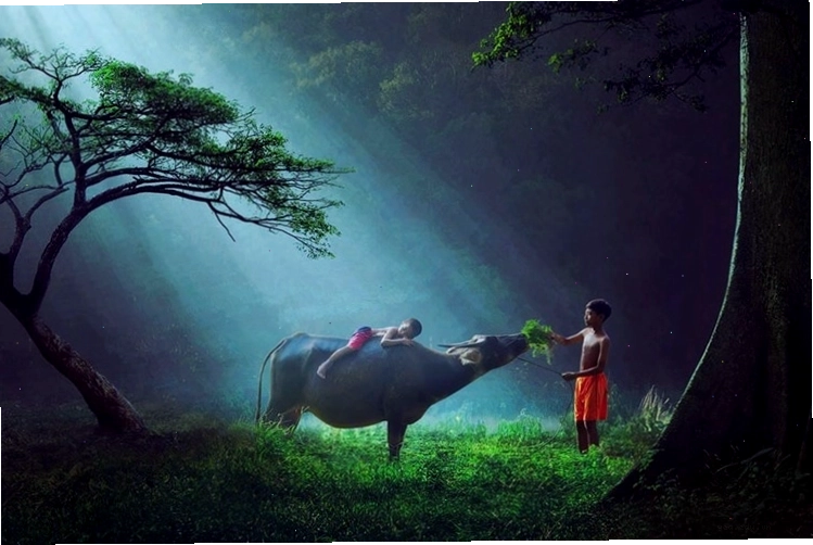 Lễ hội truyền thống độc đáo