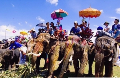 Lễ hội voi Surin truyền thống tại Thái Lan