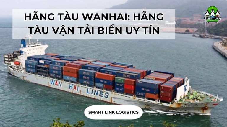 Lịch tàu Wan Hai Lines: Thông tin chi tiết và địa chỉ văn phòng tại Việt Nam năm 2026