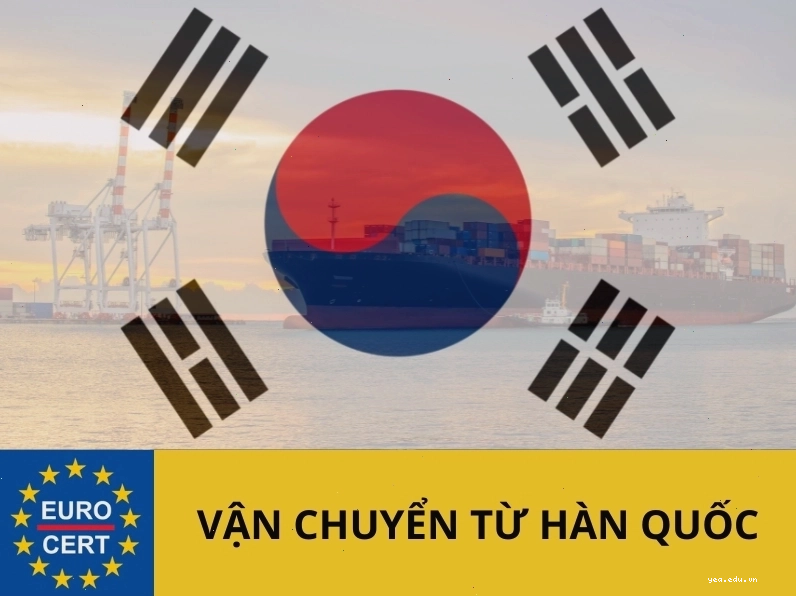 Liên hệ ngay để sử dụng dịch vụ vận chuyển hàng Hàn Quốc về Việt Nam
