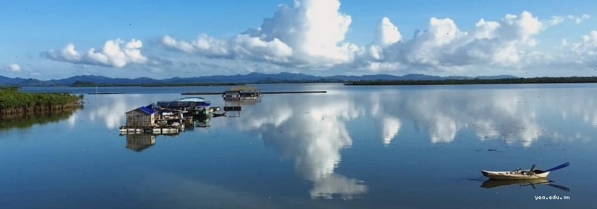 Logo Saigontourist giai đoạn đầu với biểu tượng bông mai