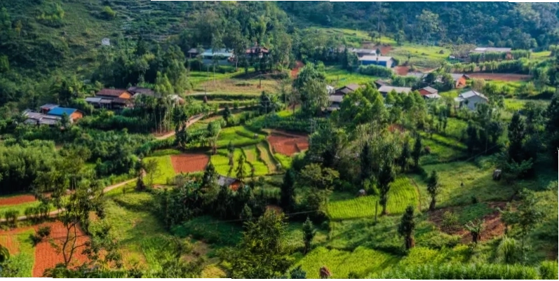 Lợi ích của du lịch sinh thái đối với môi trường và cộng đồng