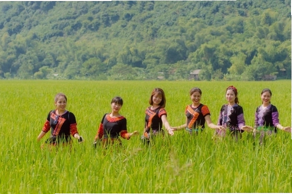Mai Châu tháng 4 với hoa ban nở trắng rừng