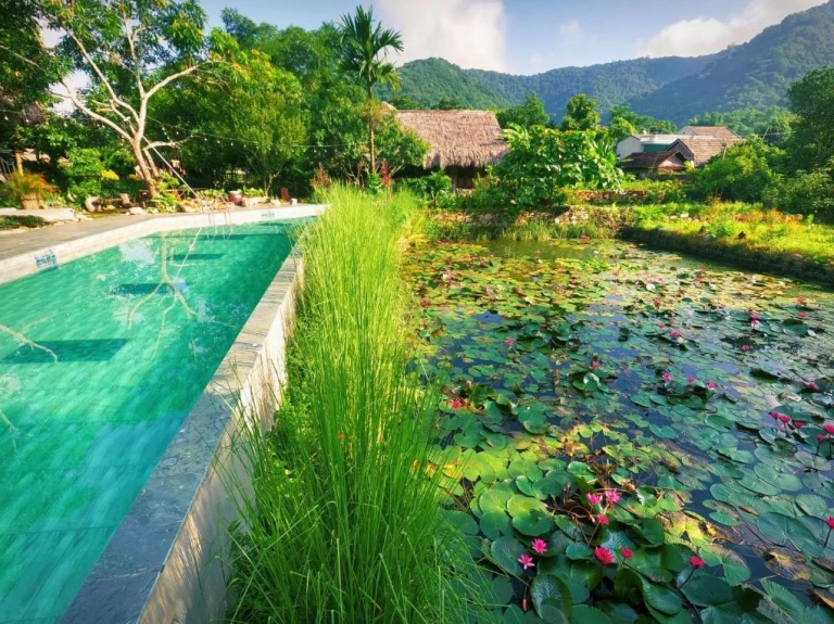 Mai Châu Valley Retreat: Trải nghiệm nghỉ dưỡng giữa lòng thiên nhiên