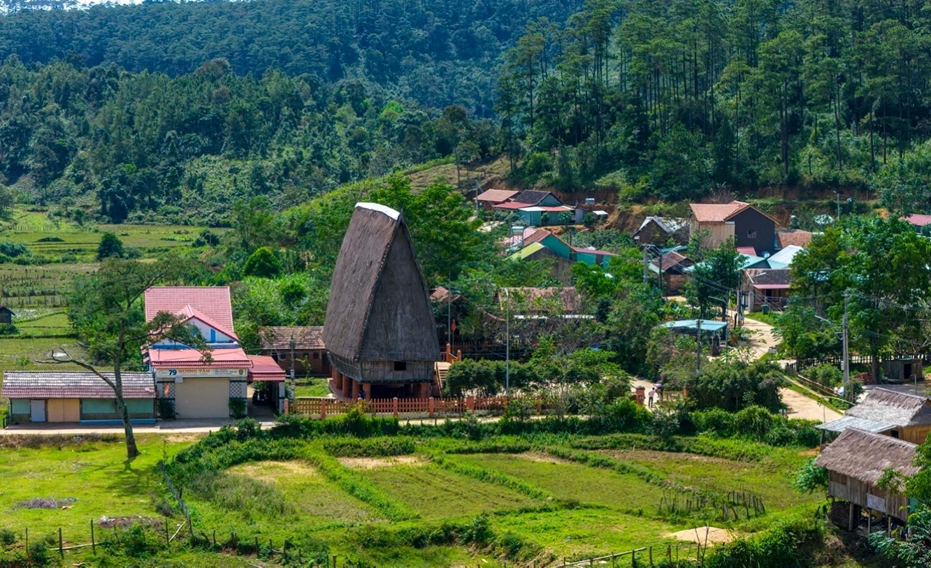 Măng Đen Kon Tum với rừng thông xanh mướt và không khí se lạnh