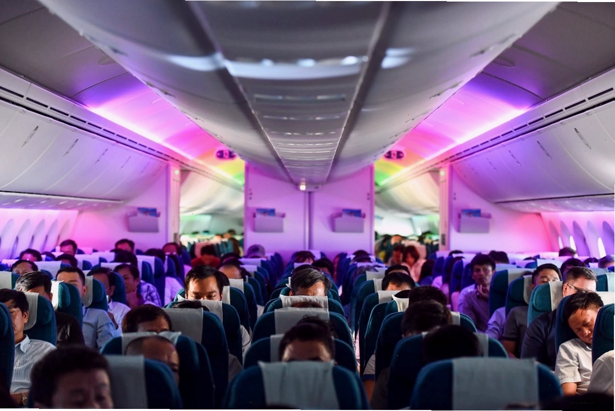 Mẫu vé boarding pass điện tử trên điện thoại