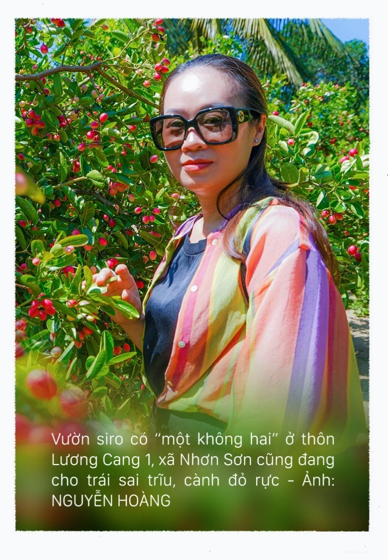Mê mẩn những vườn trái cây trĩu quả dưới chân đèo Sông Pha - Ảnh 4.