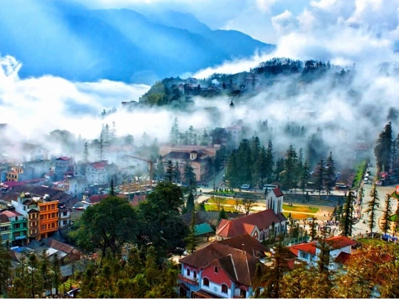 Miền Bắc mùa đông Hà Giang với hoa tam giác mạch trong sương