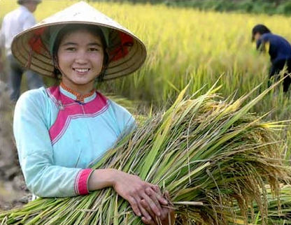 Miền sơn cước là gì? Khám phá vẻ đẹp hoang sơ và văn hóa độc đáo