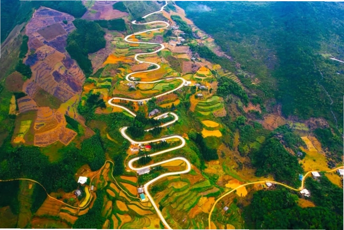 Minh họa con đường với nhiều khúc cua tượng trưng cho cuộc đời