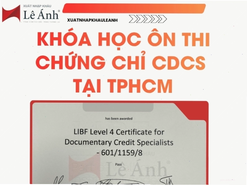 Minh họa sự khác biệt giữa Transport, Transportation và Transit