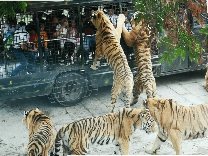 Mỏ dầu khí Thâm Hải số 1 ngoài biển khơi