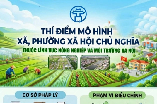 Mô hình xã hội chủ nghĩa trong nông nghiệp