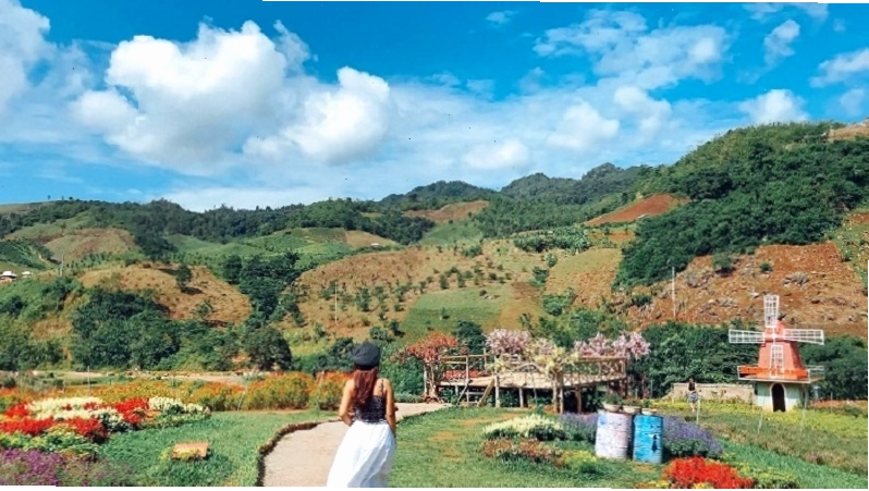 Mộc Châu Happy Land với nhiều loài hoa khoe sắc