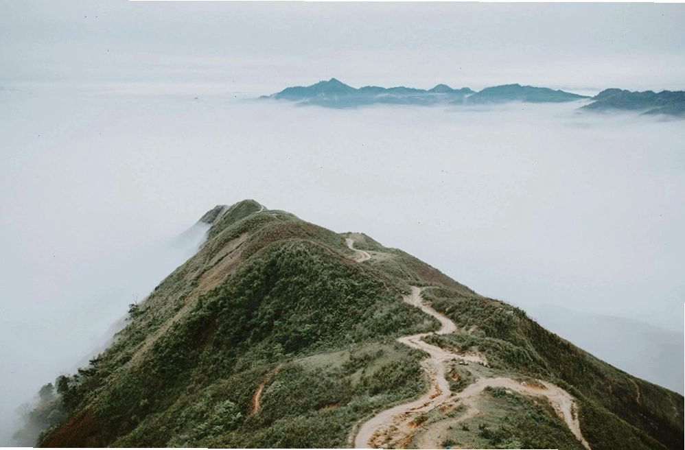 Mỏm đá hình cá heo ở Tà Xùa