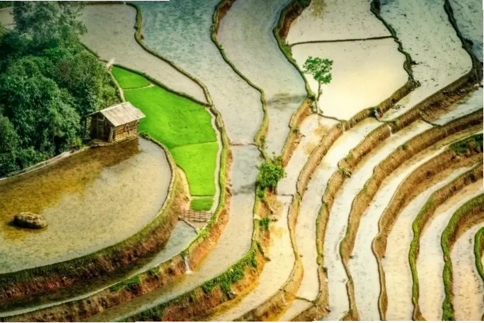Món thắng cố đặc sản Hà Giang