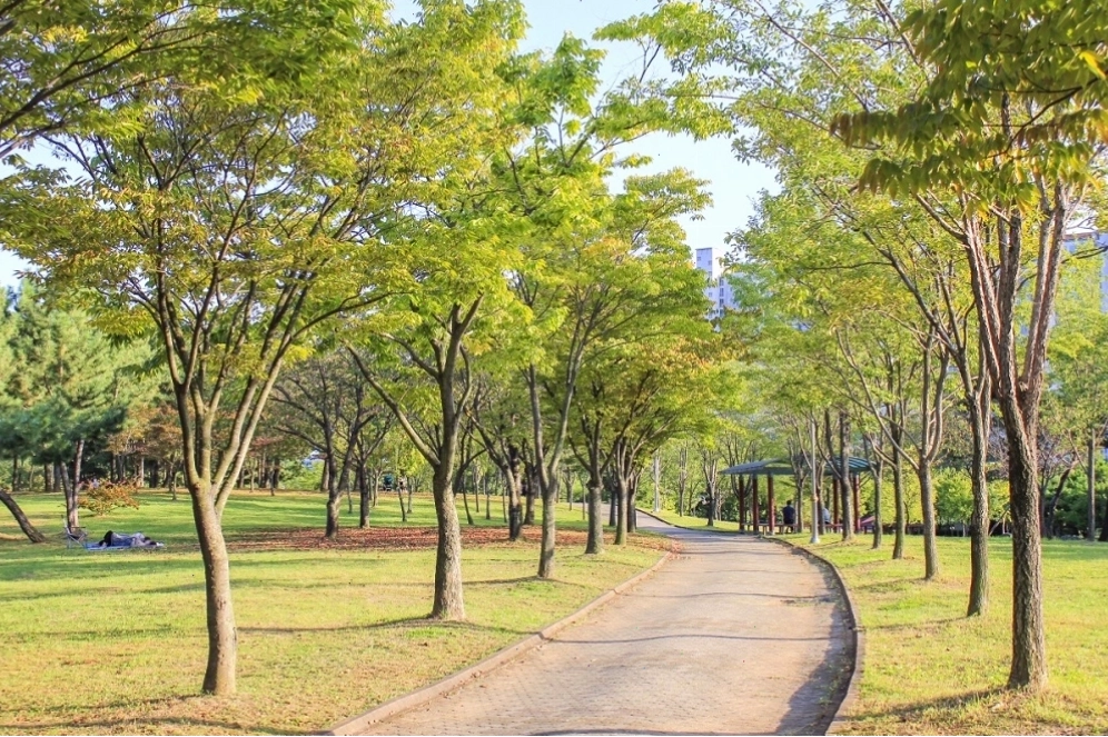 Món thịt bò Hanwoo nướng hấp dẫn tại làng Yeomchi, Asan