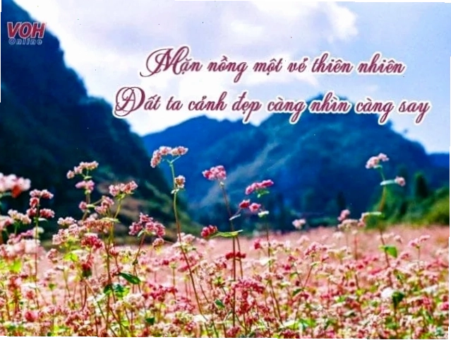 Một con đường đất đỏ uốn lượn trên đồi