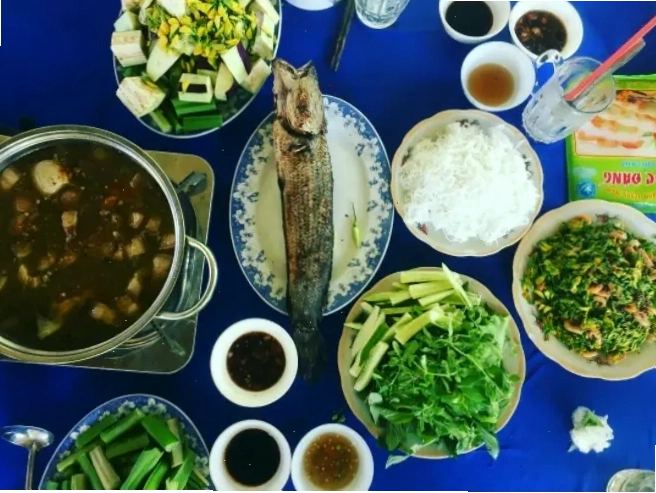 Một đàn cò trắng bay lượn trên bầu trời Rừng Tràm Trà Sư
