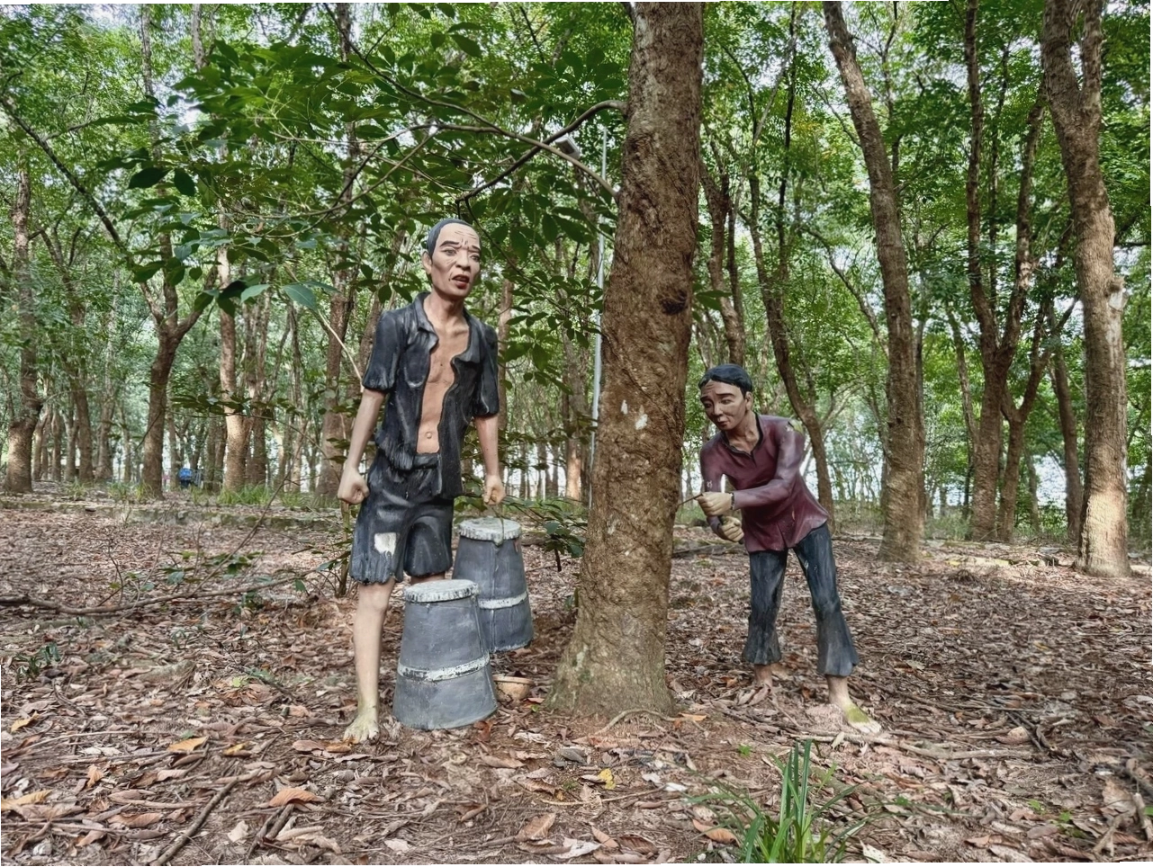 Một góc khác của các công trình kiến trúc cổ trong vườn cao su