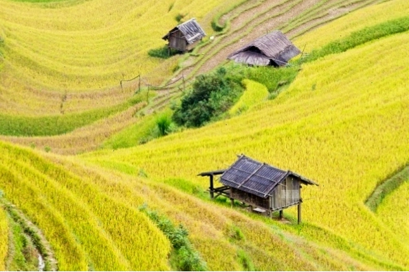 Một góc nhìn khác về Nhà khách Đồng Tâm