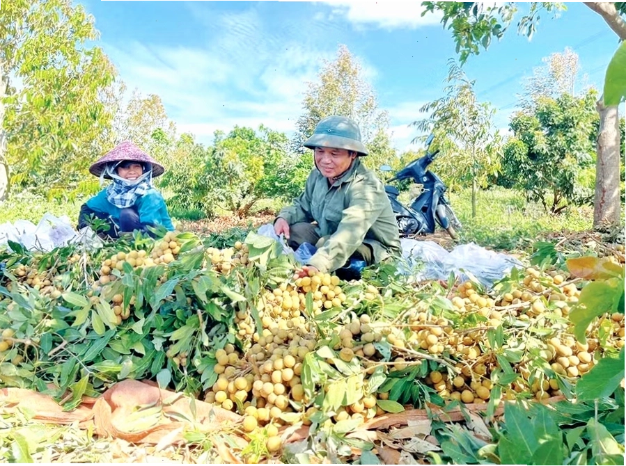 Một góc nhìn về thị trấn Chư Sê