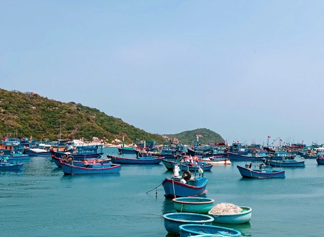 Một khu resort cao cấp nhìn ra biển