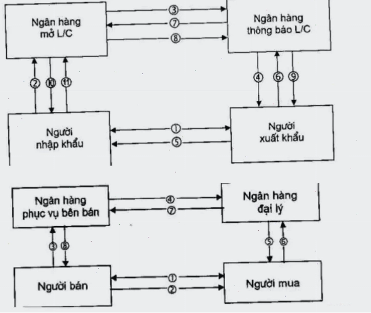 Một người đang hoàn tất giao dịch thanh toán quốc tế qua ứng dụng