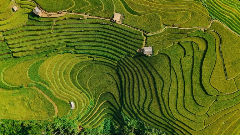 Mù Cang Chải - Hà Giang: Kinh nghiệm khám phá mùa vàng và những điểm đến hấp dẫn