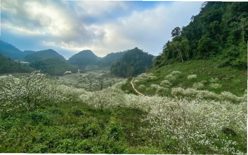 Mu Náu Farm với khung cảnh tự nhiên thơ mộng, không quá đông đúc