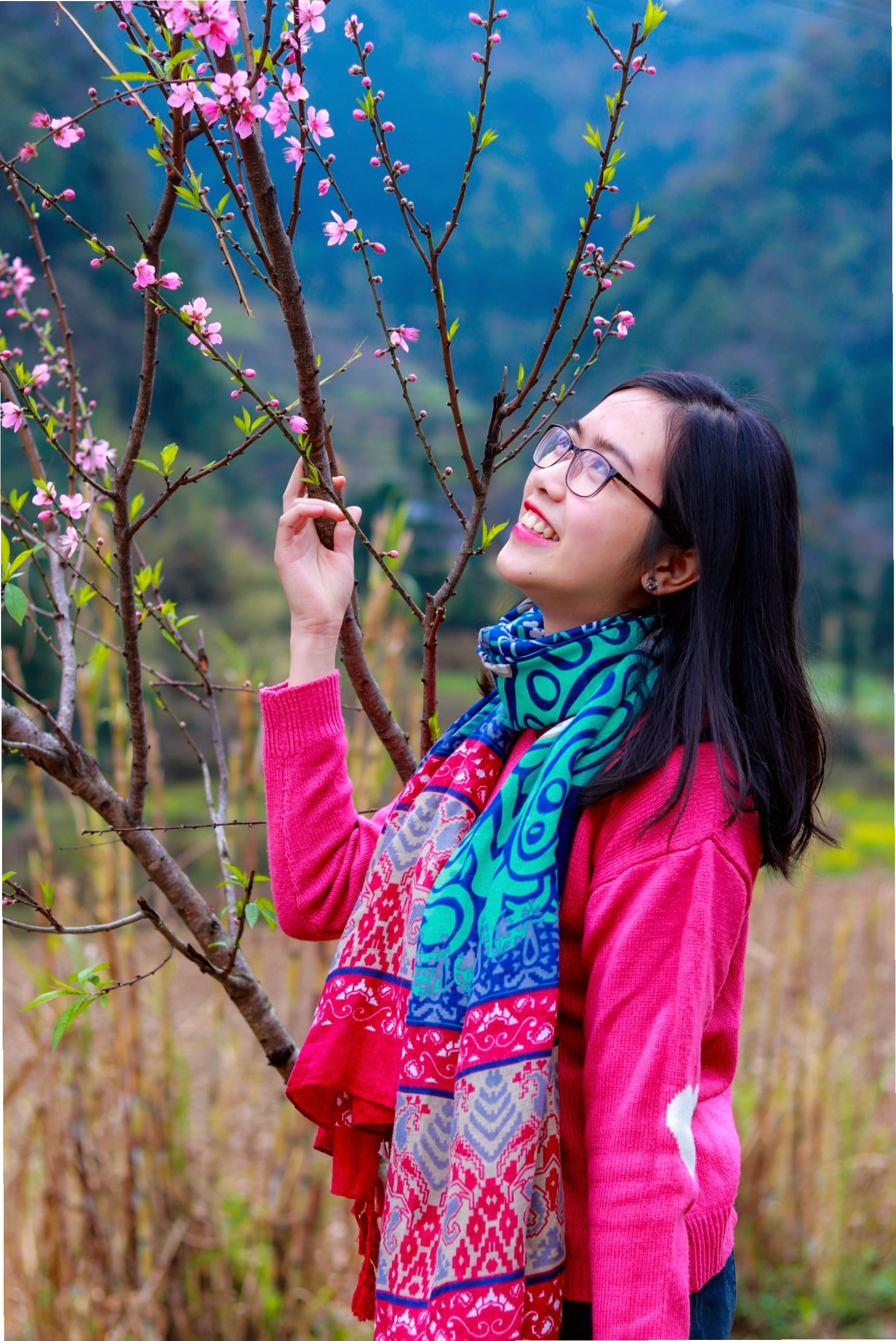 Mùa hoa đào nở rộ say đắm tại Hà Giang