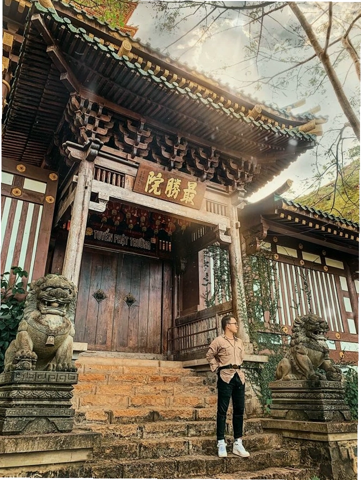 Mùa hoa muồng nở rộ trên cao nguyên Gia Lai