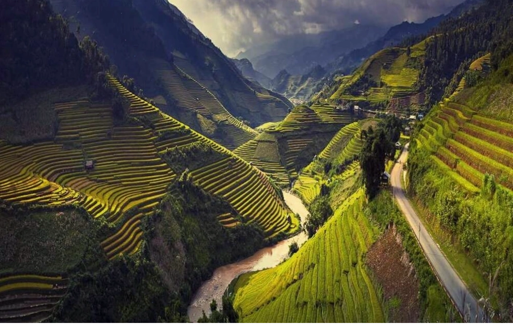 Mùa hoa tam giác mạch gần Dốc Thẩm Mã