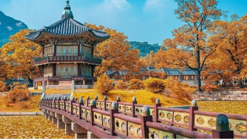 Mùa lá đỏ rực rỡ vào tháng 10 tại Hàn Quốc
